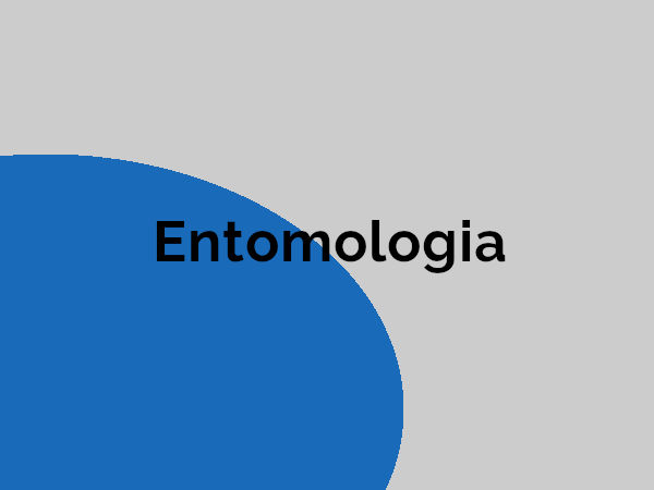 imagem da formação de Entomologia